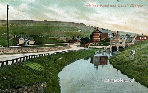 Strines Road Canal Arm