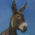 Donkey-GeraldHooper2011.jpg