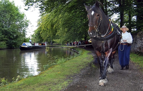 Svetlana Roberts' second placed entry in the 2010 Marple Festival Photo Competition