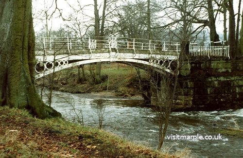 A shot of the Iron Bridge in Brabyns Park taken in 1963. 