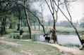marple-hall-pond-c1959.jpg