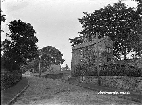 Brabyns Lodge c1910