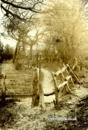 Flagg Wood