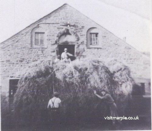 Haymaking