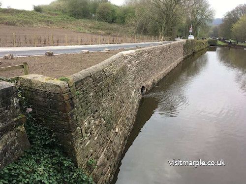 Canal re-watered, view from Lock 7 – March 2017.